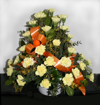 M-03 22- CENTRO DE CLAVELES  